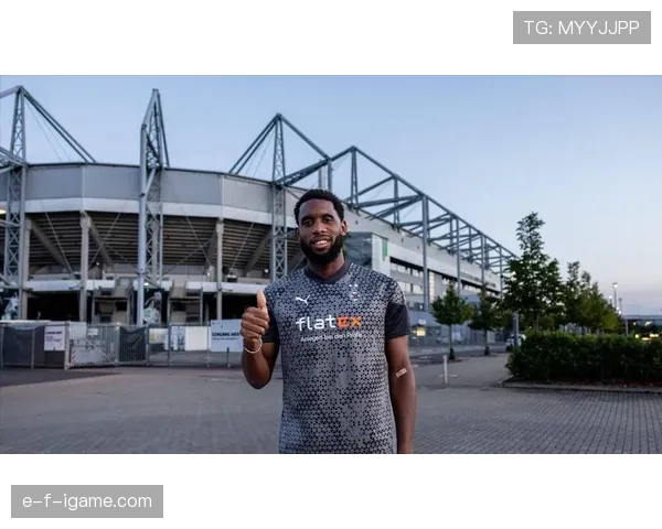 德甲各队引援布局揭示战力升级路径，青年才俊成转会市场新焦点